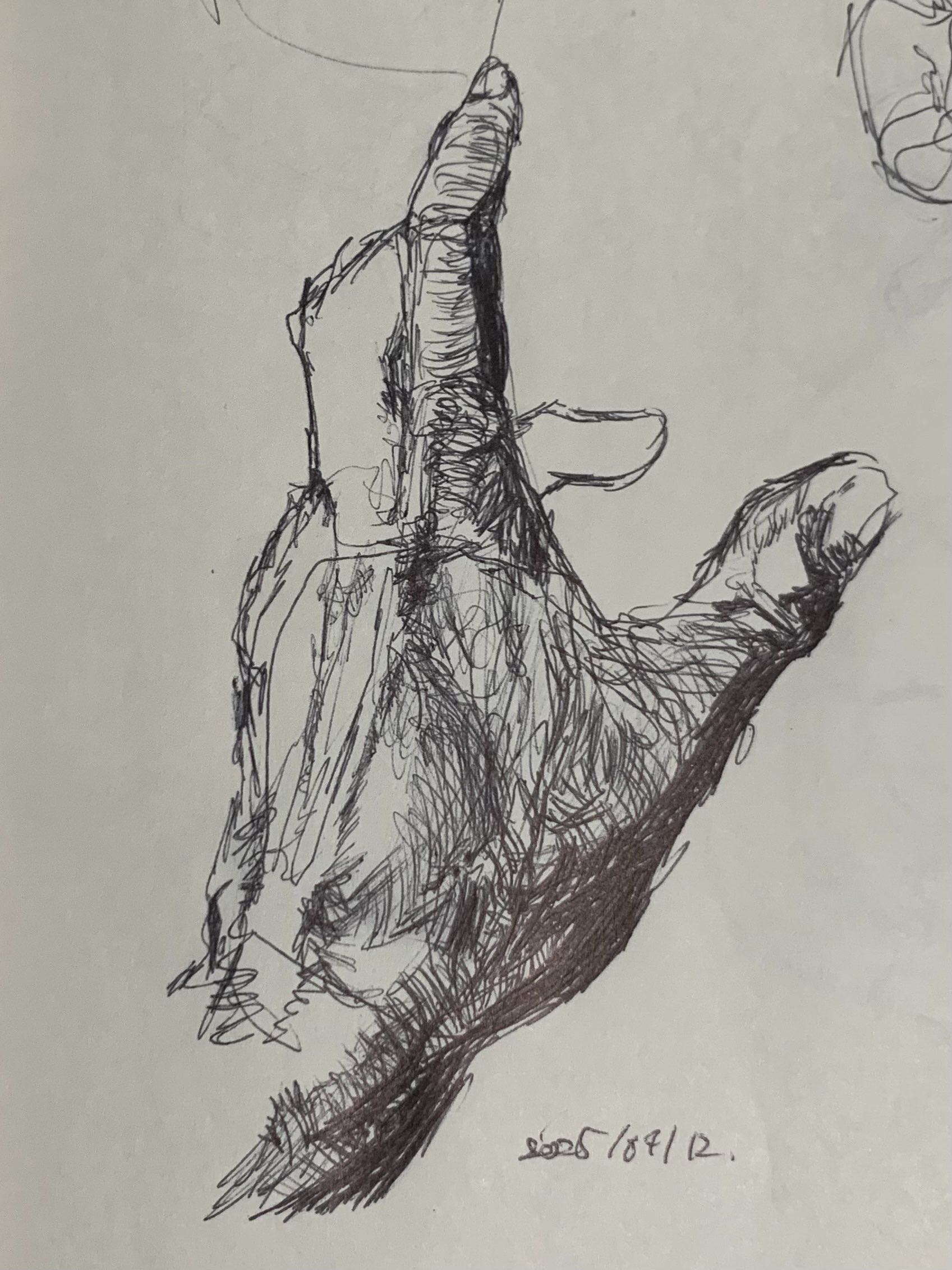 Hand 5 Hand Illustration 5