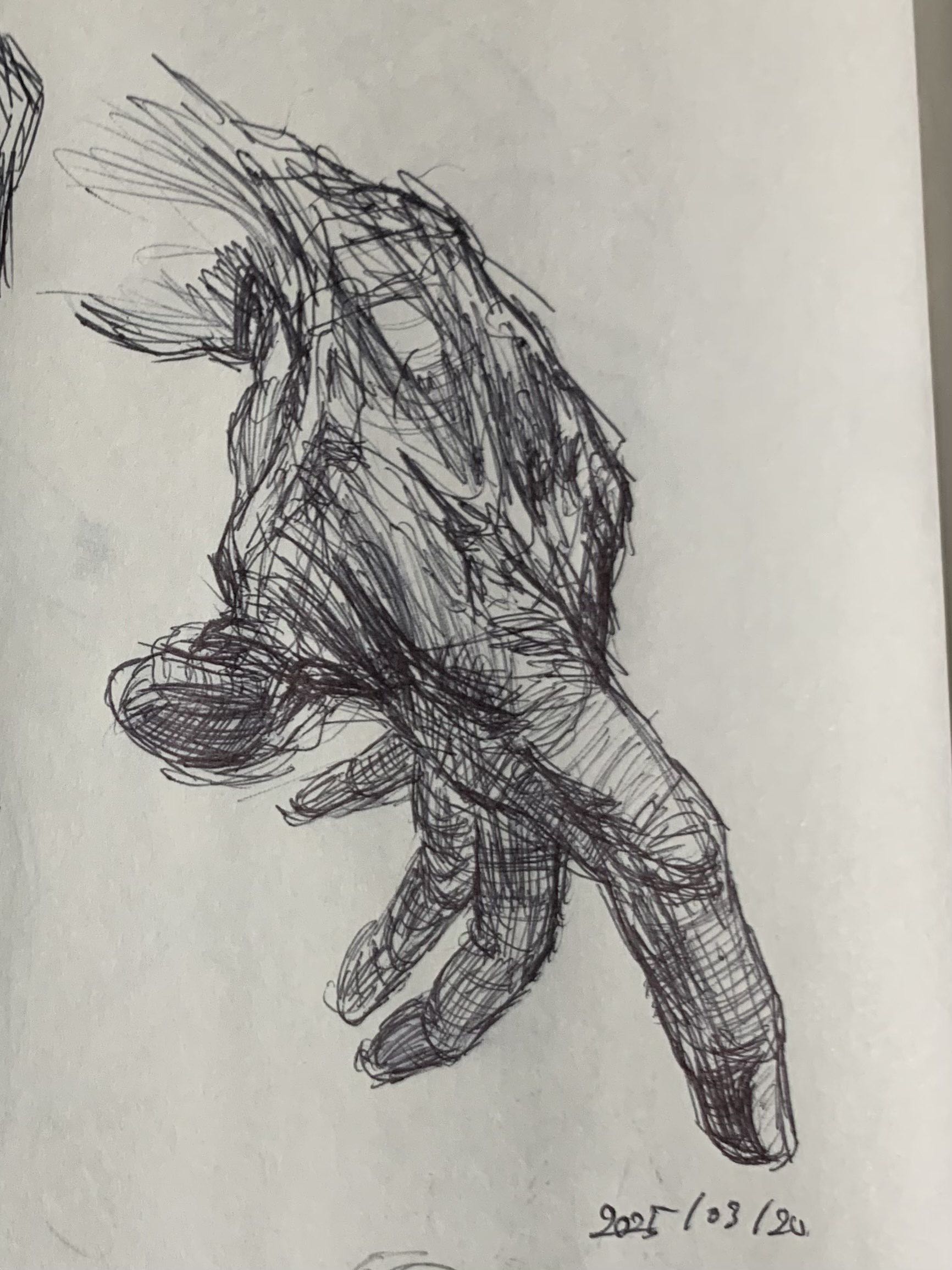 Hand 7 Hand Illustration 7